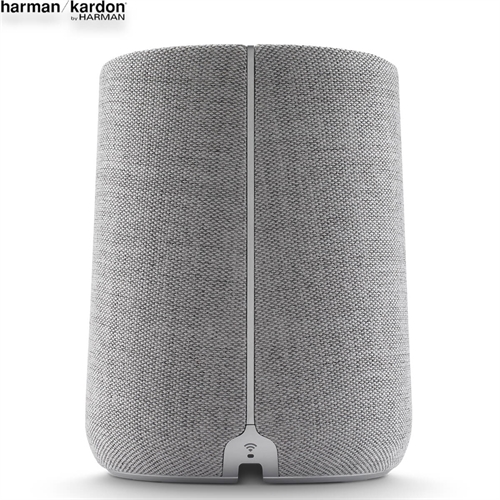 Loa Harman Kardon Citation ONE 4